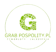 Grab pospolity sadzonki